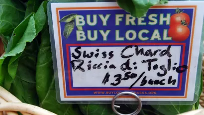 Urban Agriculture