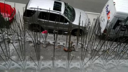 Bird Poop Prevention