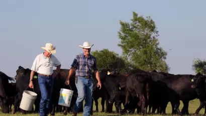 Cattle Farmers