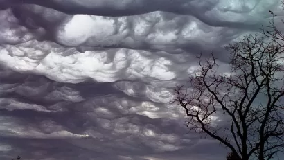 Asperatus