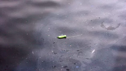 Gowanus Canal, Dirty Water