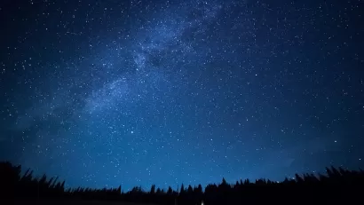 View of dark night sky with visible Milky Way over dark forest.