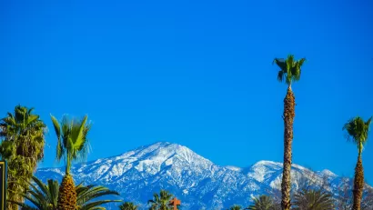 Tall palm trees against bright blue sky with snowy mountains in background. Los Angeles, California.