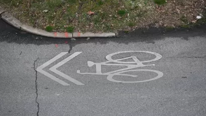 White bike sharrow symbol painted on road next to green grass.