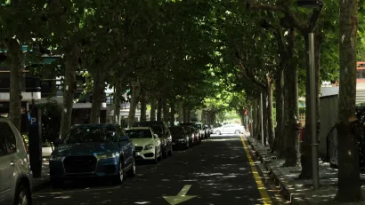 Tree-lined street with large old trees and full parking lane and one-way driving lane in Spain.