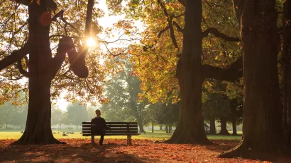 Man sitting on bench sillhouetted against golden hour trees in tranquil park.