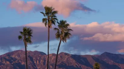 Twilight view of San Gabriel Mountains with three tall palm trees in foreground and purpleish sky.