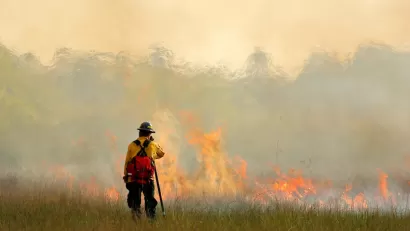Firefighter in yellow uniform stands in grassy field monitoring wildfire in the Everglades, Florida.