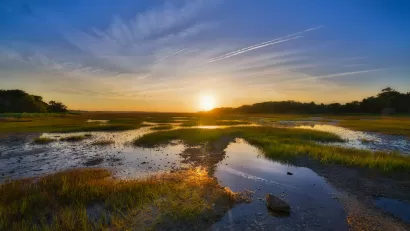 View of wetlands in South Carolina at sunrise or sunset