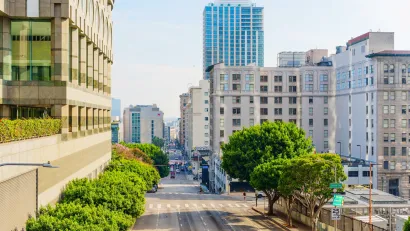 Looking out at trees on 4th Street in downtown Los Angeles, California.
