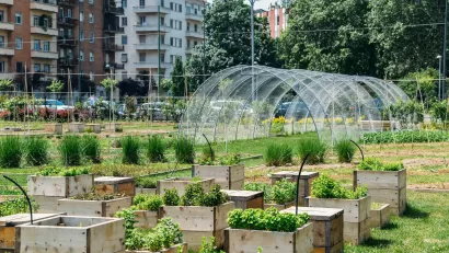 Planter boxes and hoop tunnel with housing in the background