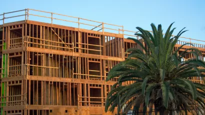 Wood-frame building under construction with robust palm tree in front