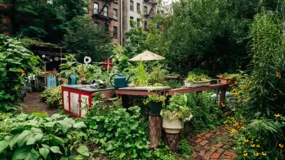 Lush urban community garden with raised beds in dense New York City neighborhood with brick apartment buildings in background.