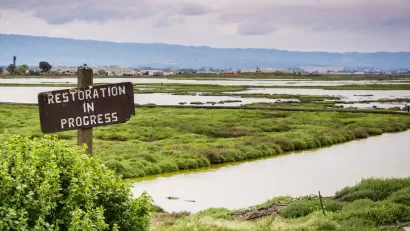 "Restoration in progress" sign in the wetlands in Alviso Marsh, Don Edwards wildlife refuge, south San Francisco Bay, California.