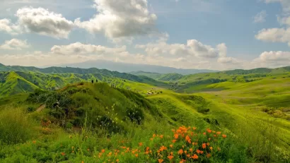 Green hills with orange California poppies in bloom in foreground in Chino Hills State Park, California.