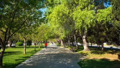 Paved walkway with a few people in lush green city park with large trees and benches.