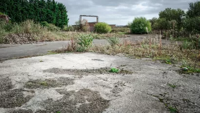 Vacant lot with overgrown concrete foundation