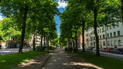 Quiet tree-lined street in Stockholm, Sweden in summer.