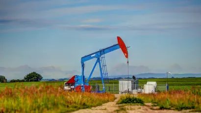 Blue and red oil pumpjack in field surrounded by grasses and wildflowers in rural Alberta, Canada.