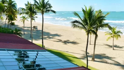 Close-up of rooftop solar panel on sandy peach with tall palm trees.
