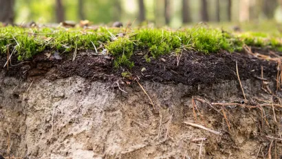 Side view of layers of grass and soil