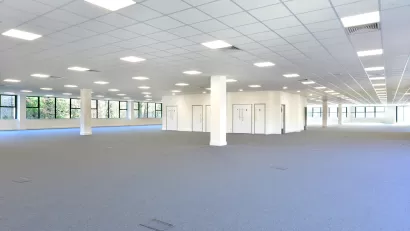 Empty open plan office with gray carpet and white walls