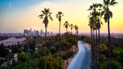 Sunset view of tall palm trees and shorter trees lining empty street with Los Angeles skyline and crescent moon in background.
