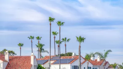 View of red tiled rooftops with solar panels and tall palm trees between houses
