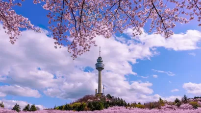 View of E-World 83 Tower in Seoul, South Korea through branches full of white and pink cherry blossoms.