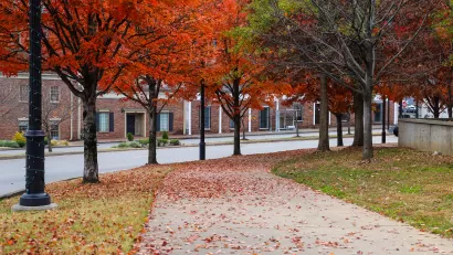 Vividly colored orange and red autumn trees along sidewalk in Nashville, Tennessee