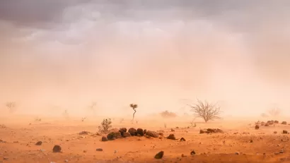 Dusty desert landscape with low visibility and few scraggly plants.