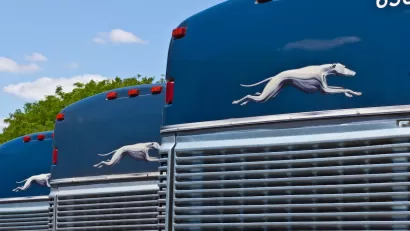 Dark blue Greyhound buses parked in a row.
