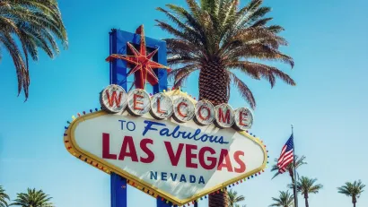 "Welcome to fabulous Las Vegas Nevada" sign with mottled shade from palm tree.