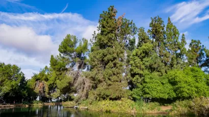 View of trees and pond at Ernest E. Debs Regional Park in Los Angeles, California.