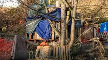 Makeshift shelter built by unhoused person against a tree using pallets, blue tarps, fabric, and other debris in wooded area in Seattle, Washington