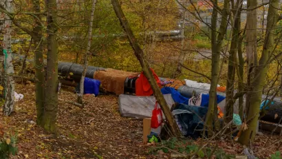 Small encampment with tents and mattress along heating pipe in green forest.
