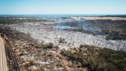 Aerial view of forest damaged by wildfire in Texas.