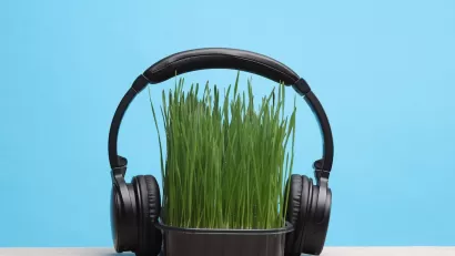 Set of black headphones attached to small tray of wheatgrass sitting on table against blue background.