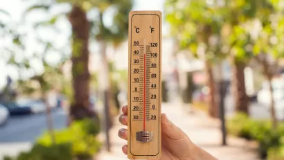 Hand holding up an analog thermometer outdoors with trees in background.