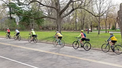 Row of six cyclists riding down asphalt road with large trees on side.