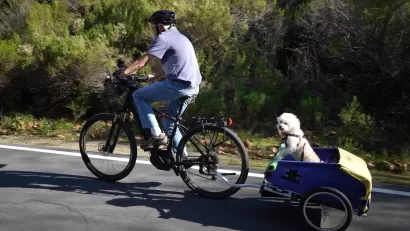 Older man riding e-bike with cargo trailer with small white fluffy dog looking at camera on paved bike trail.