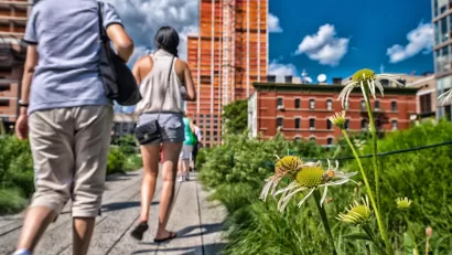 Low close-up of yellow flowers and pedestrians walking on New York City's High Line linear park.