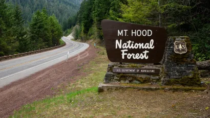 Sign for Mt. Hood National Forest sign on roadside.