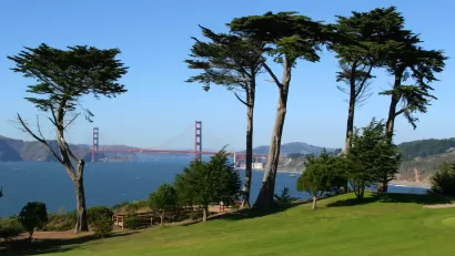 View of Golden Gate Bridge from Presidio Golf Course with tall trees in foreground in San Francisco, California.
