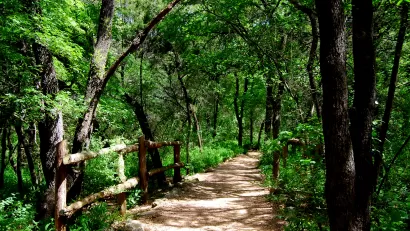 Barton Springs Greenway, Central Texas
