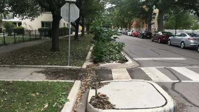 Zebra crosswalk with raised curb extensions and bioswale on small street with parked cars and mature trees.