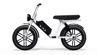 Bird Cruiser