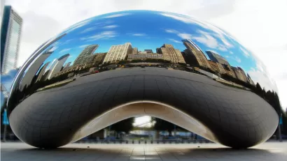 Bean06_Crop