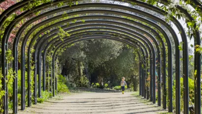 A little girl running in the beautiful Descanso Garden in Los Angeles, California.