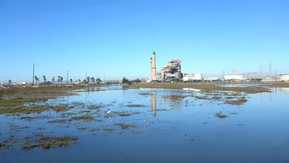 An energy production facility rises above a wetlands along the Pacific Ocean.